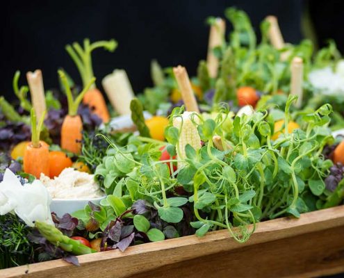 #wildweddings #weddingphotographers #societyweddingphotographer #poshweddingphotographer #weddingphotographer #weddingphotographer #hertfordshireweddingphotographer #naturalweddingphotography #documentaryweddingphotography